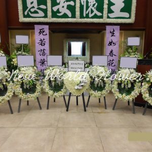 參考圖片 ｜Reference