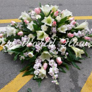 Coffin Flower ｜棺面花 Q2
