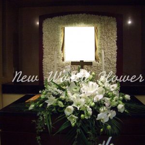 Coffin Flower ｜棺面花 Q6