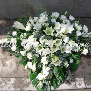 Coffin Flower ｜棺面花 Q5