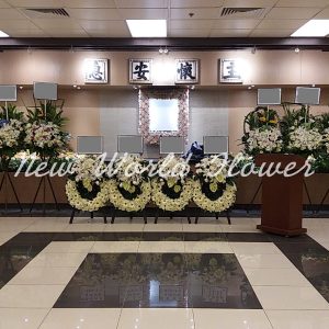 參考圖片 ｜Reference