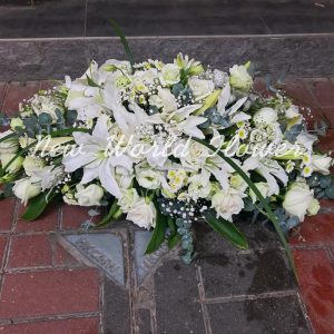 Coffin Flower ｜棺面花 Q8