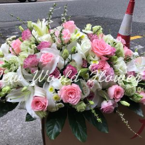 Coffin Flower ｜棺面花 Q9