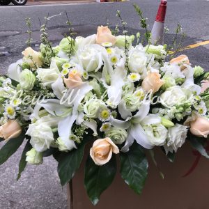 Coffin Flower ｜棺面花 QA 1