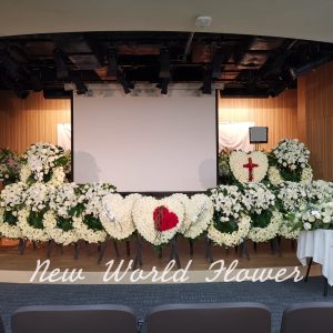 參考圖片 ｜Reference